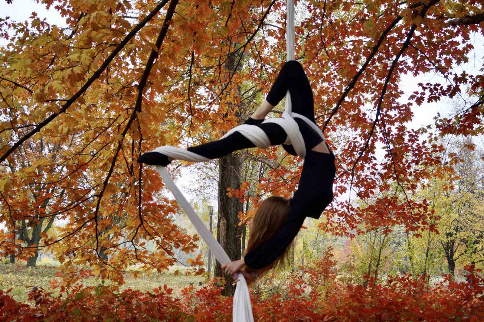 trick on arial silks